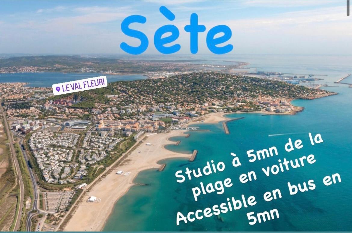 Magnifique Studio A Sete Proche Des Plages Dış mekan fotoğraf